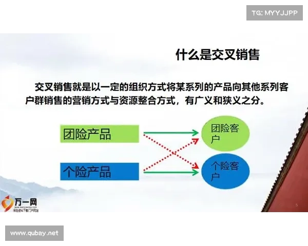 混投策略在现代投资组合中的应用与优化研究:理论基础与实务操作分析 混投策略在现代投资组合中的应用与优化研究:理论基础与实务操作分析